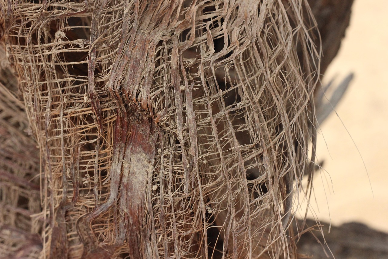 성지순례 여행