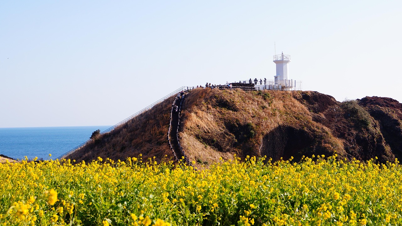 제주도여행