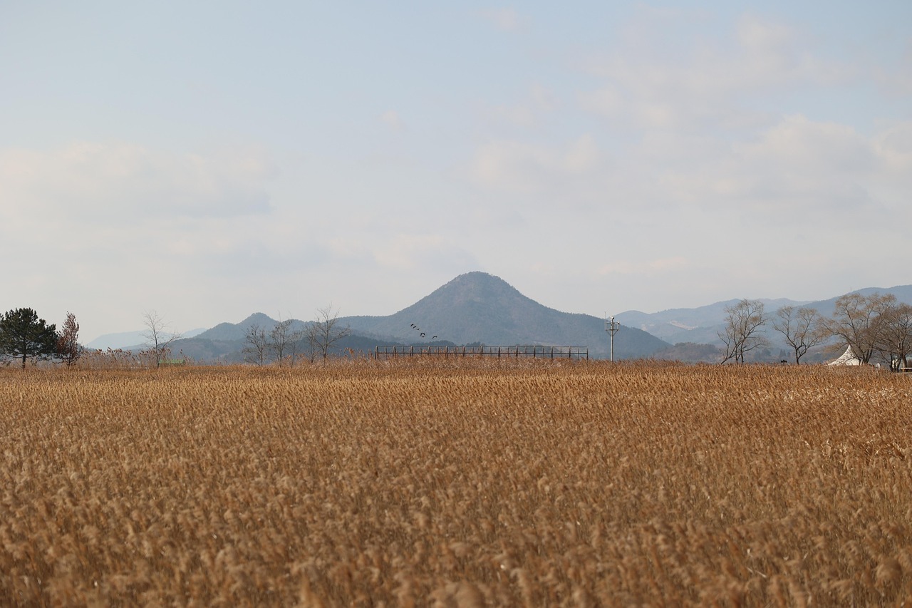순천여행